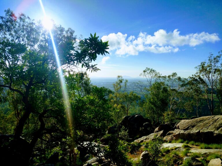 whatsapp image 2026 03 11 at 00.23.19